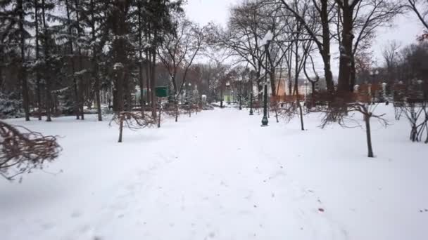 Handhållen förstapersonsutsikt - promenera längs en snötäckt gränd i kyligt vinterväder under dagen — Stockvideo