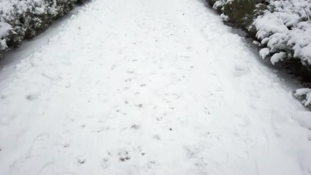 Handhållen POV vy - gå längs en snötäckt gränd i vinterväder under dagen - tilt up skott — Stockvideo