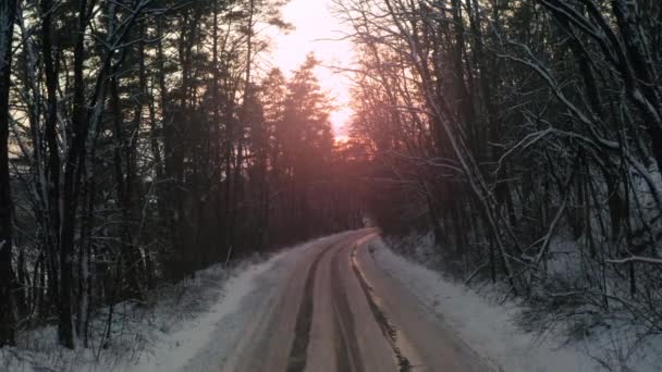 Route d'hiver dans la forêt au coucher du soleil. Dolly en photo d'une route d'hiver à travers une forêt mystérieuse. — Video