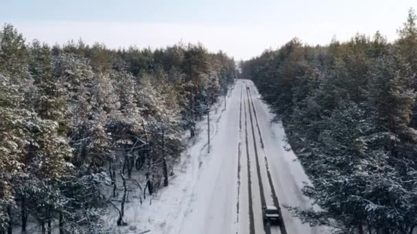 Kış ormanı boyunca karla kaplı bir yolda arabayla seyahat etmek - hava çekimi — Stok video