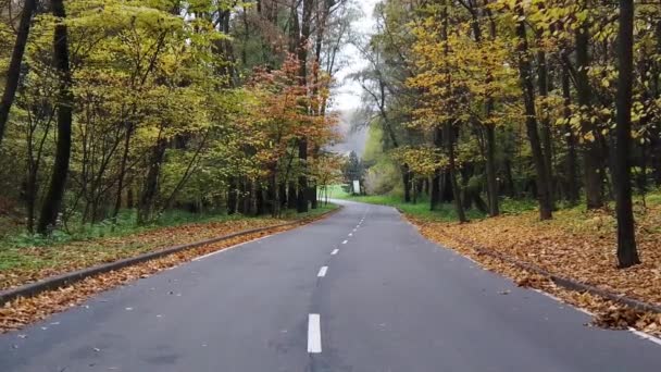 Une lente promenade POV le long d'une allée asphaltée du parc au début de l'automne — Video