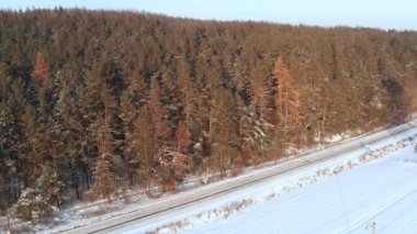 Beyaz araba kış aylarında çam ormanı boyunca kır yolu boyunca sürer.