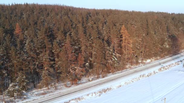 冬の霜の日に松林に沿って国道沿いの白い車のドライブ — ストック動画