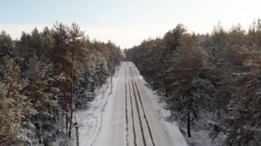 Kış ormanında boş bir yolun üzerindeki manzara.