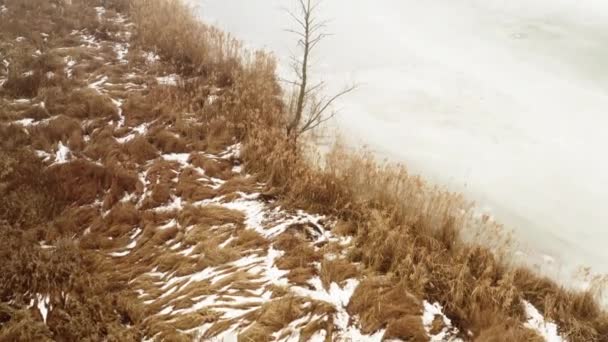 Sklon dronu Nahoru záběr na břeh řeky, zarostlý suchou holí během tání a tání ledu — Stock video