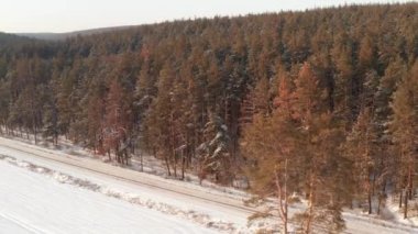 Kışın dondurucu havada yoğun çam ormanlarında insansız hava aracı uçuşu