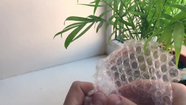 Hands popping bubbles in bubble wrap close-up - anti-stress therapy during quarantine and lockdown. — Stock Video