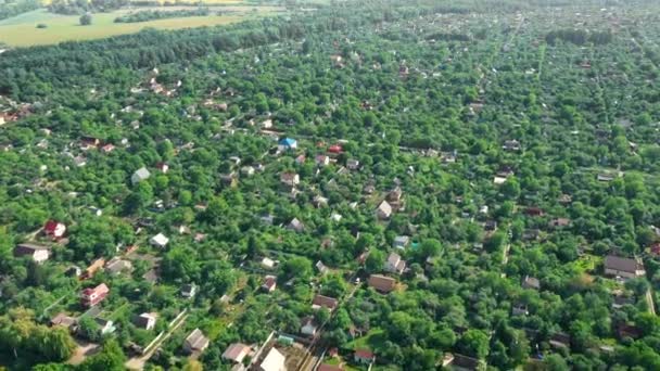 Un montón de casas entre los árboles verdes en los suburbios ecológicos en verano - plano aéreo — Vídeos de Stock