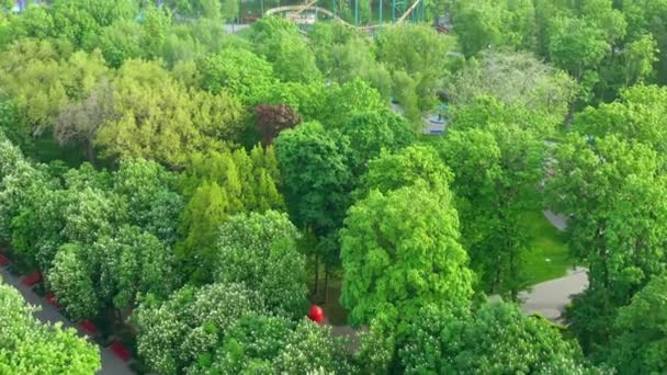 Зелені дерева в Citys Morning Amusement Park - Drone View — стокове відео