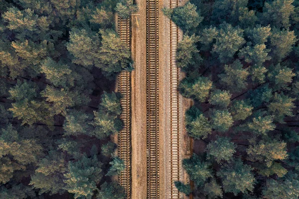 Tres vías de ferrocarril en medio de un bosque verde - disparo de dron aéreo — Foto de Stock