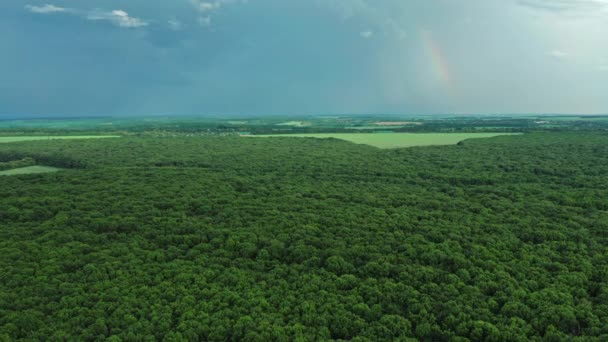 Voando sobre uma grande floresta verde decídua durante uma tempestade com um céu de tempestade e um arco-íris — Vídeo de Stock