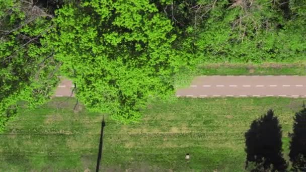 Par av cyklister på en promenad rider på en cykelväg bland gröna träd - silhuetter med skuggor — Stockvideo