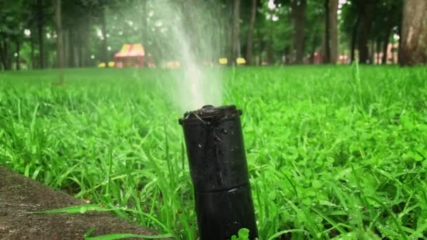Otomatik çim sulama sistemi suyu daire şeklinde püskürtür. — Stok video