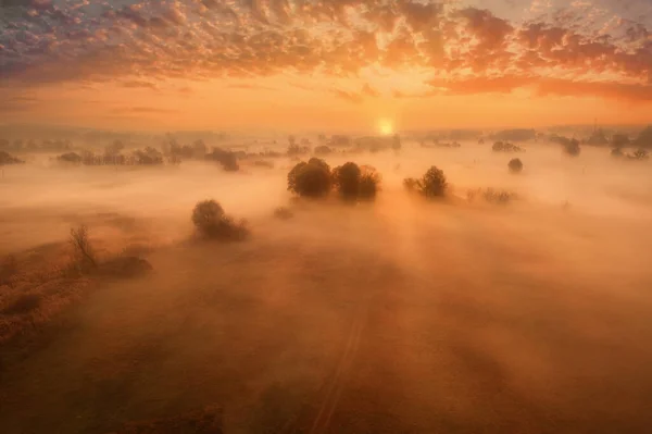 Misty αυγή σε ένα λιβάδι με δέντρα - οι ακτίνες του ήλιου κάνουν το δρόμο τους μέσα από την ομίχλη και τα δέντρα - εναέρια τοπίο — Φωτογραφία Αρχείου