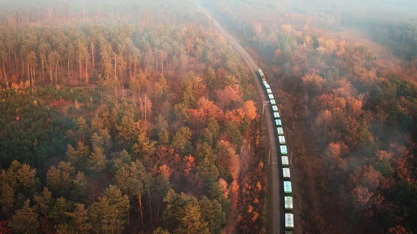 Comboio de carga com vagões de carga passa pela floresta de outono em uma névoa - tiro aéreo — Fotografia de Stock