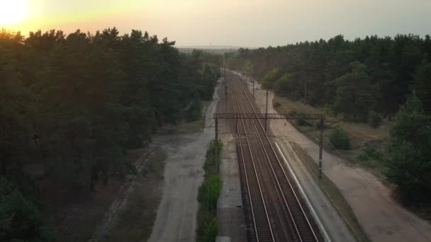 Stasiun kereta api kosong di antara hutan pinus saat matahari terbenam — Stok Video
