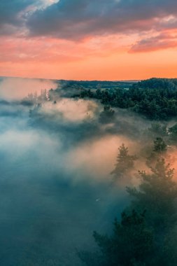 Ormanda sisli şafak