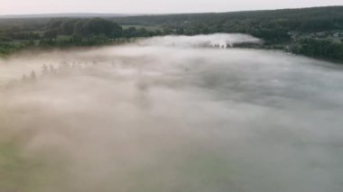 Orman yangını, orman yangını, yangın çalı, hava atışı