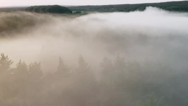 Voando sobre a fumaça do fogo selvagem — Vídeo de Stock