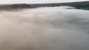 Orman yangınından kalma sis.