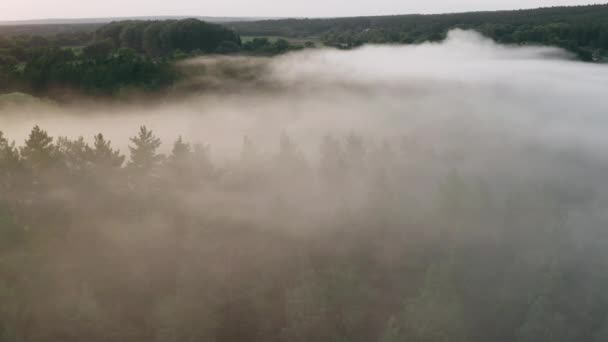 Flying over treetops through the smoke of forest fire — Stock Video