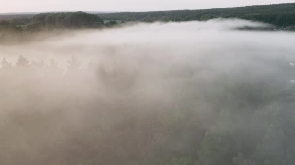 Erdőtűzből származó köd — Stock videók