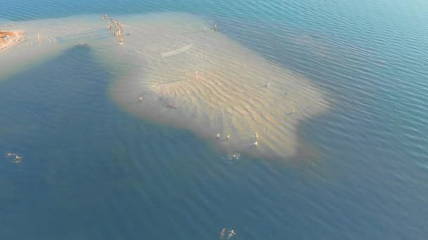 Gul sandstrand omgiven av azurvatten: Sommar badort — Stockvideo