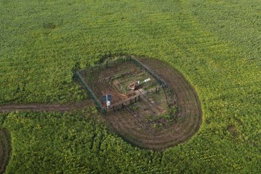 Güneş enerjili şarj istasyonu olan bir ayçiçeği tarlasında gaz dağıtım istasyonu..