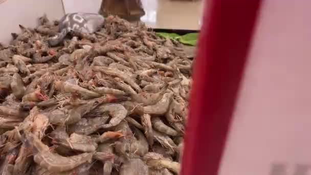 Creveți de tigru proaspăt răcit pe tejgheaua de supermarket — Videoclip de stoc