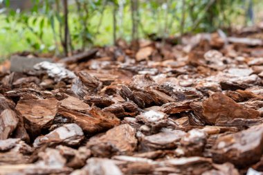 This closeup image displays rustic wood mulch spread across the ground, framed by lush greenery, providing a beautiful backdrop for stunning landscaping that enhances natures beauty