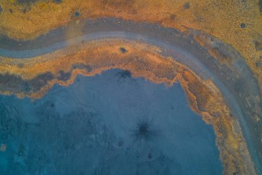 Canlı sarı sazlıklar ve mavi-gri endüstriyel atık ya da çamur arasındaki sınırın soyut insansız hava aracı görüntüsü. Çevresel kriz ve kirlilik dokusu teması için güçlü kontrast