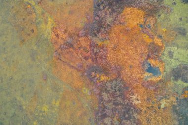 Sonbaharın sonlarında renkli bir bataklık ya da bataklığın dikey görüntüsü. Altın ve paslı turuncu sazlıklar ve küçük koyu su lekeleri olan otlar. Ekoloji, iklim ve vahşi yaşam kavramı