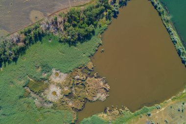 Dikey hava fotoğrafı ekili arazi, orman hattı, bataklık sazları ve su arasındaki karmaşık sınırı gösteriyor. Küçük kraterler, askeri çatışmaların kırılgan ekosistem ve manzara üzerindeki etkisini gösteriyor..