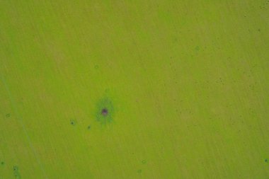 Doğrudan savaş hasarını gösteren tepeden aşağı havadan çekilmiş bir fotoğraf. Yeşilliğe karşı havadan atılan bir bombadan oluşan belirgin krater deliği alanı askeri çatışmaları ve savaş sonrasını gösteriyor..