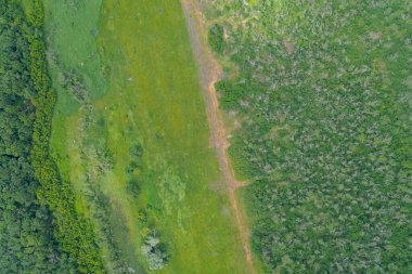 Çeşit çeşit yeşil organik bir arazinin havadan görünüşü tarlaların yanında sık bir ormanın toprak bir yol ile kesiştiğini gösteriyor. Biyolojik çeşitlilik, arazi yönetimi, ekoloji, çevre araştırmaları kavramsal geçmiş.