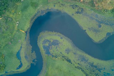 S- eğrisi telaffuz edilmiş koyu mavi bir su gövdesinin yüksek açılı soyut hava görüntüsü, yemyeşil su bitkisiyle çevrili. Su kaynakları, koruma, ekoloji ve güzellik için kavramsal altyapı