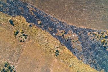 Hava aracı atışı, bir yangının keskin sınırlarını gösteriyor. Kavurucu kara toprak yoğun bir şekilde altın çalılık ve sürtünme alanı ile çelişiyor, çevresel hasarı gösteriyor..