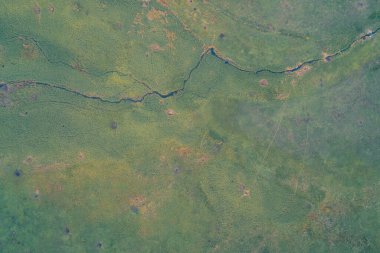 Yeşil çimenli bir arazinin, içinden akan küçük kıvrımlı bir nehrin soyut drone görüntüsü. Bitki örtüsünün dokusu ve karanlık su kanalı doğa kavramları için manzaralı bir zemin oluşturur..