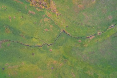 Soyut insansız hava aracı, yemyeşil bir çayırda akan sarmal bir koyu dereyi yakalıyor. Dokulu çimenli yüzey ve su kanalı doğa kavramları için manzaralı ve barışçıl bir zemin oluşturur..