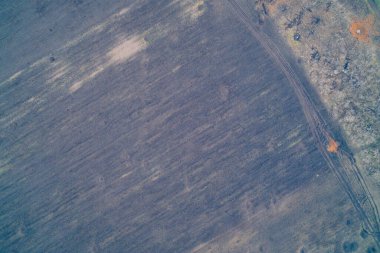 Yanmış zeminin havadan insansız hava uçağıyla çekilmiş ve ağaç hattı boyunca lastik izleri var. Savaş sonrası çatışma ve yanmış toprak dokusuna tepeden tırnağa bakış..