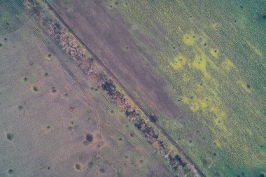 Parçalanmış bir ağaç hattı boyunca savunma mevzilerinin ve siperlerin havadan insansız hava aracı görüntüsü. Topçu kraterlerinin ağır yaraladığı parlak sarı bir arazinin yukarıdan görünen görüntüsü. Askeri strateji ve yeryüzü dokusunu kamufle etmek. Ukrayna 'da Savaş.