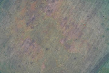 Mor, yeşil, zehirli bir alan yüzeyinde pas rengini harmanlayan hava aracı görüntüsü. Endüstriyel kimyasal kirlenmenin yukarıdan aşağı görüntüsü soyut bir sıvı dokusu yaratıyor. Jeolojik model arkaplanı.