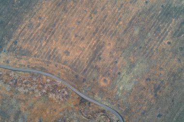 Dikey tarla izleri ve orman kenarına yakın bir yol olan desenli bir arazinin yukarıdan görünüşü. Muharebe bölgesinde kırsal alan. Ağaç sınırına yakın olası savunma pozisyonları var. Minimalist zemin deseni.