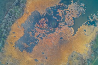 Yatay görüntü, derin mavi su ile savaştan zarar görmüş kurumuş bataklık bitkisi arasındaki zıtlığı yakalıyor. Sahne, Rus işgalinin ekolojik sonuçlarını ve Avrupa ülkelerinin karşı karşıya olduğu geniş çaplı güvenlik krizini vurguluyor..