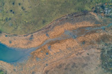 Turuncu, kahverengi ve koyu mavi su havuzlarının çarpıcı mevsimsel renk paletini içeren bataklıkların soyut bileşimi. Sahne, kuru sazlıkların yoğun ve kaotik dokusunu, dayanıklılığı ve kırılgan su ortamını vurguluyor..