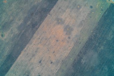 Çapraz toprak renkleri ve dokularının çapraz şeritlerine ayrılmış tarımsal arazinin havadan aşağıya yukarıdan görünüşü. Geometrik, minimalist desen, tarım alanlarının savunmasızlığını gösteren küçük çarpışma kraterleri tarafından inceden inceye bozulur..