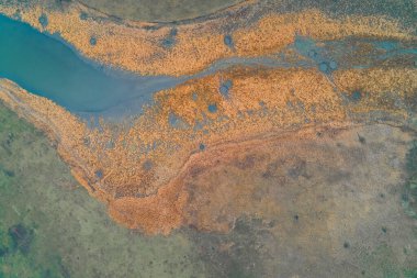 Sahne, yoğun turuncu bataklık bitkilerini çevreleyen yeşil tarlalardan keskin bir şekilde ayıran kıvrımlı bir nehir kanalını gösteriyor. Hidrolojik sınır, su ekosisteminin hassasiyetini ve iki farklı kara tipi arasındaki karşıtlığı vurgular..