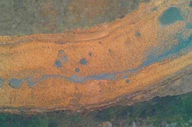 Sarmal mavi bir su kanalı tarafından yönetilen canlı bir bataklık manzarası, yoğun turuncu ve kahverengi kamışlarla keskin bir tezat oluşturuyor. Bu sahne, bataklık ekosisteminin dinamik güzelliğini ve kırılganlığını vurgular..