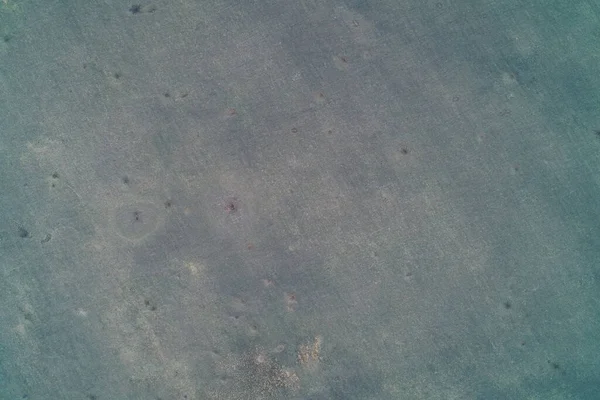 Uçsuz bucaksız, koyu yeşil bir çayırın yukarıdan görünüşü. İçinde küçük toprak lekeleri olan minimalist çimen dokusu var. Tuvale ya da kumaşa benzeyen, tarımsal tasarım, duvar kâğıdı ve kopyalama alanı düzeni için ideal bir tekdüze arkaplan..