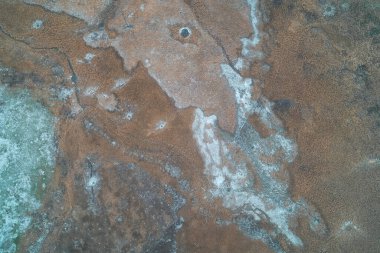 Donmuş kuru sazlıkların yoğun bir çalılığının yukarıdan aşağıya görüntüsü. Vahşi sulak arazi bitki örtüsünü, potansiyel biyokütle enerji kaynağını ve doğal kamuflaj arka planını temsil eden kaotik bir altın bataklık çimen dokusu..